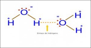 puente d ehidrogeno