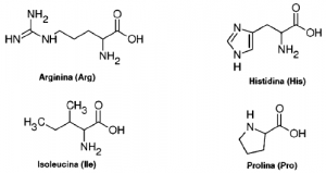 fórmulas de aminoácidos