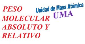 Peso molecular absoluto y relativo