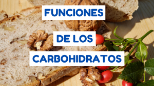 funciones de los carbohidratos