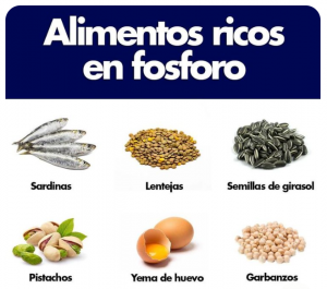 El Fósforo en la Nutrición