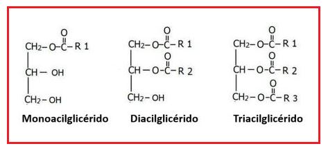 aceites-trigliceridos