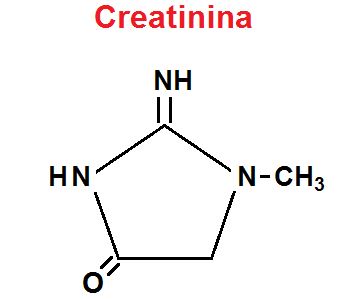 creatinina