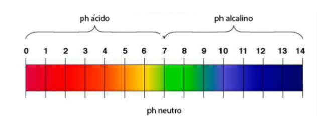 por qué es importante medir el pH