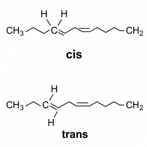 grasas trans