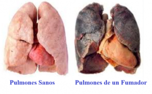 efectos del cigarrillo