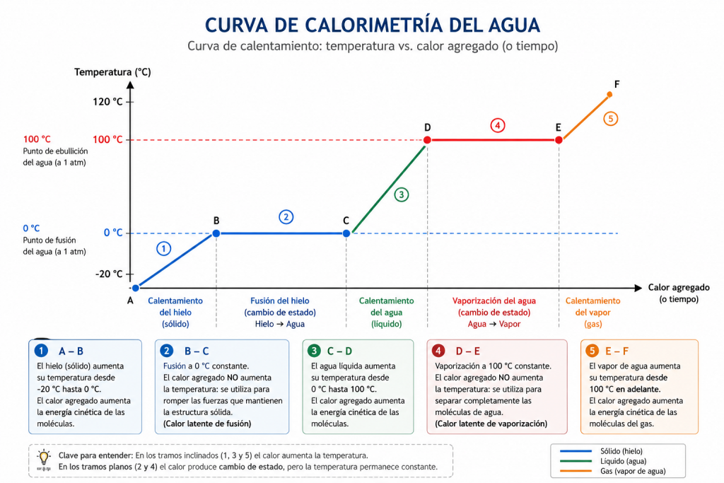 curva de calorimetría